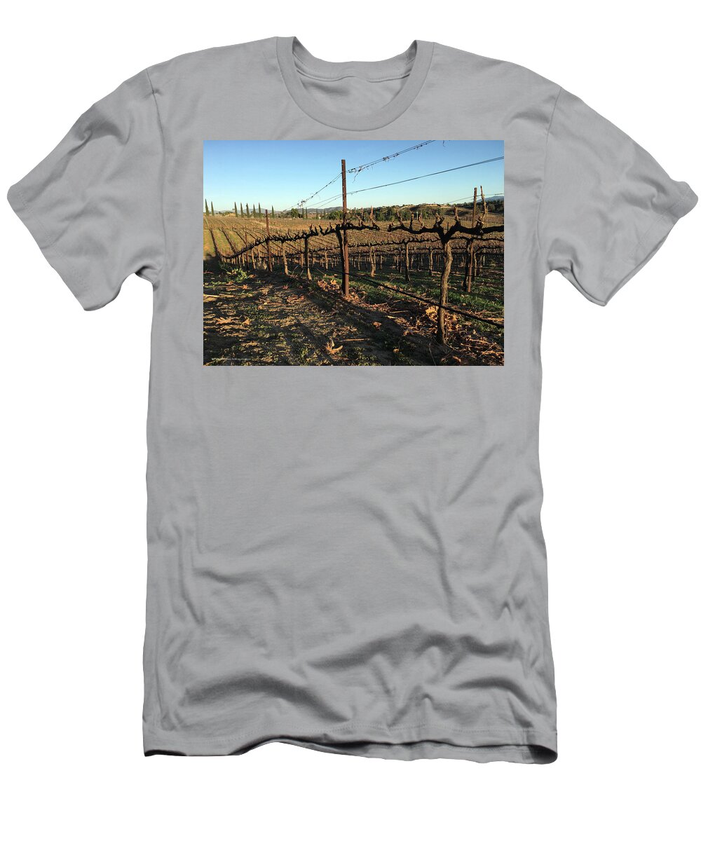 Winter T-Shirt featuring the photograph Winter Vines Hart Winery Temecula by Roxy Rich