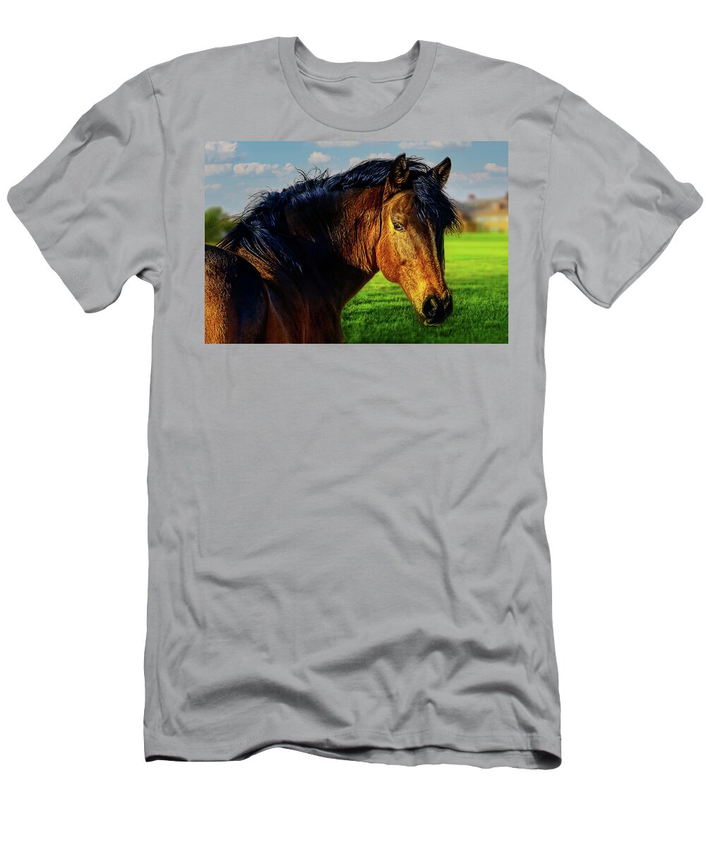Work Horse T-Shirt featuring the photograph Work horse showing by Jim Signorelli