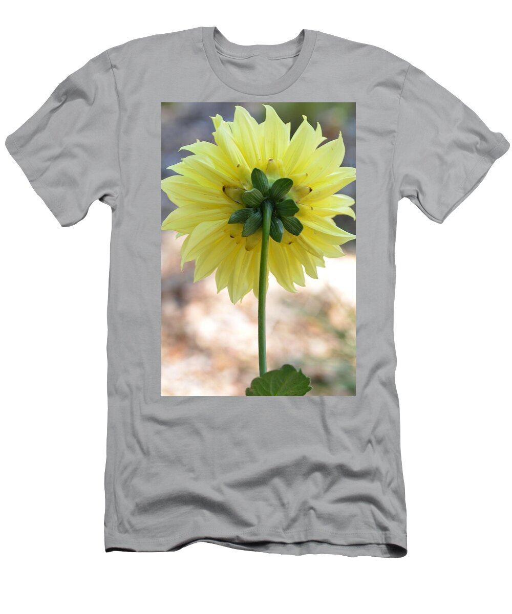 Dahlia T-Shirt featuring the photograph Yellow Dahlia Silhouette by Amy Fose