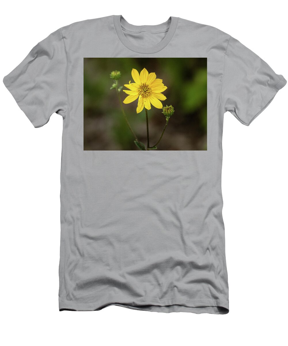Yellow Flower T-Shirt featuring the photograph Yellow Flower by David Morehead