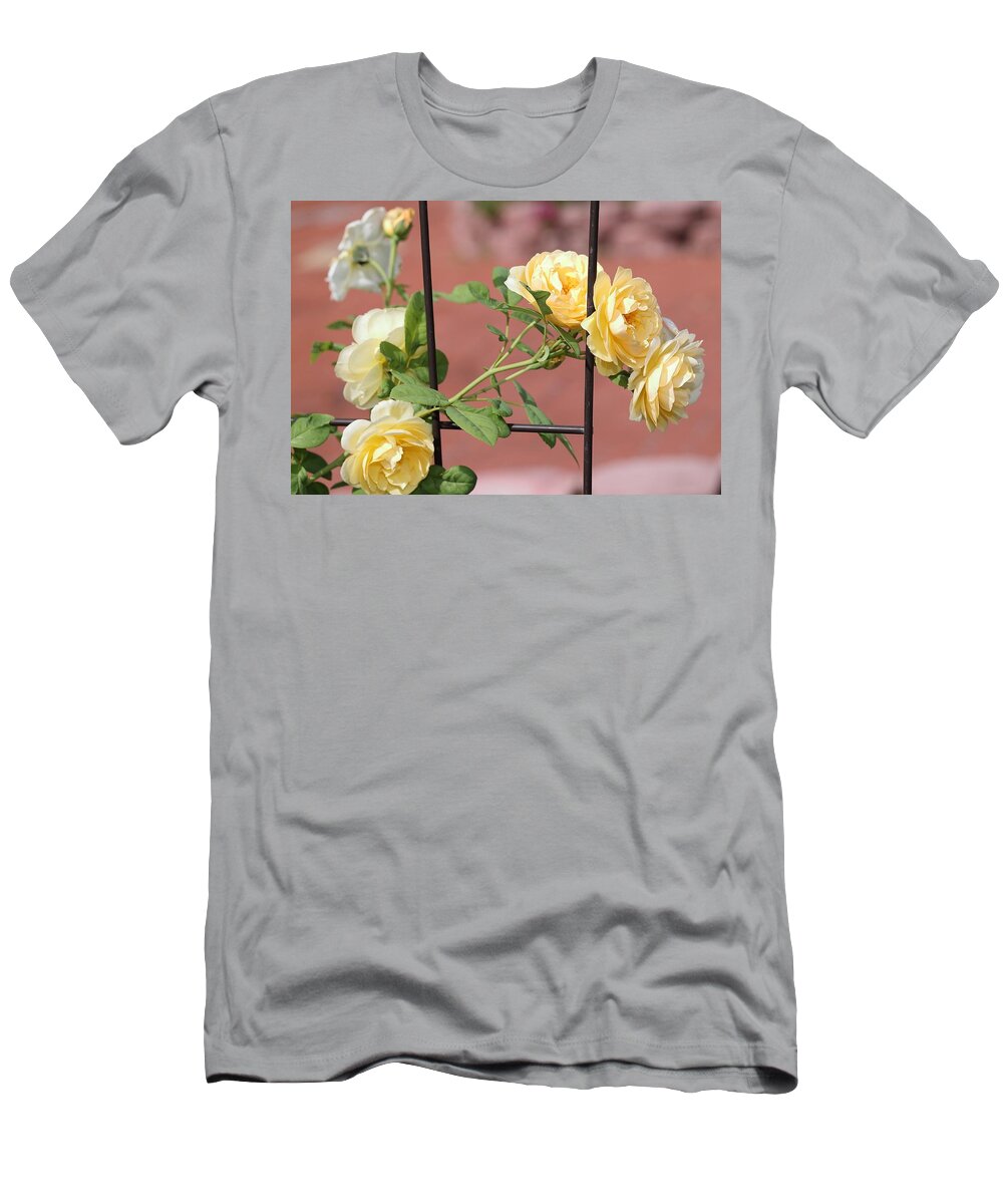 Rose T-Shirt featuring the photograph Yellow Roses on Metal Trellis by Mingming Jiang