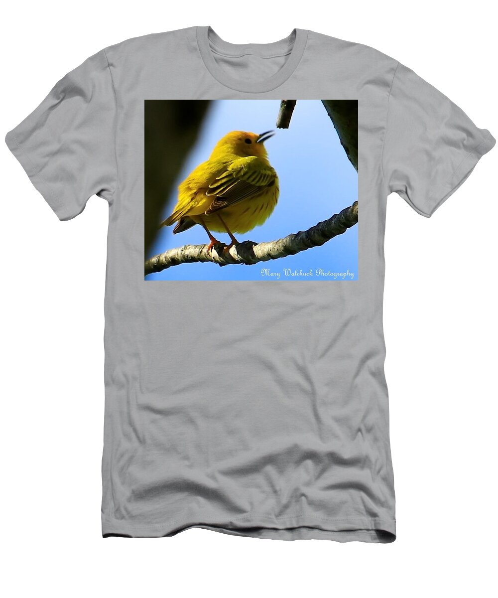 Yellow Warbler T-Shirt featuring the photograph Yellow Warbler Singing in the Spotlight by Mary Walchuck