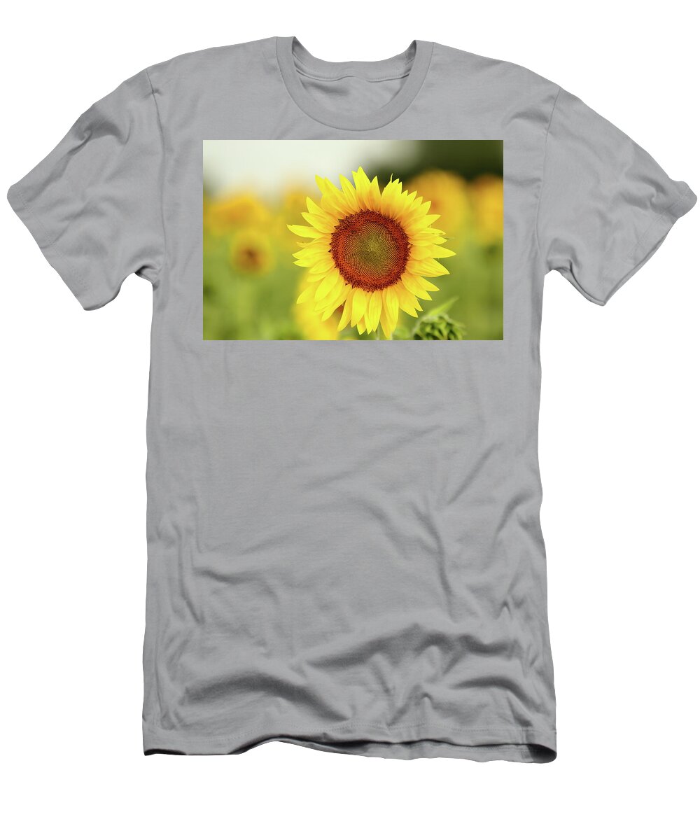 Sunflower T-Shirt featuring the photograph Yooo Hooo by Lens Art Photography By Larry Trager