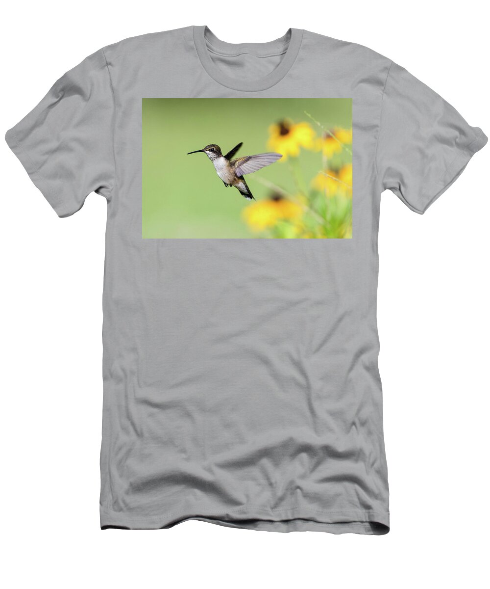 Ruby Throated Hummingbird T-Shirt featuring the photograph Zoom Zoom by Linda Shannon Morgan