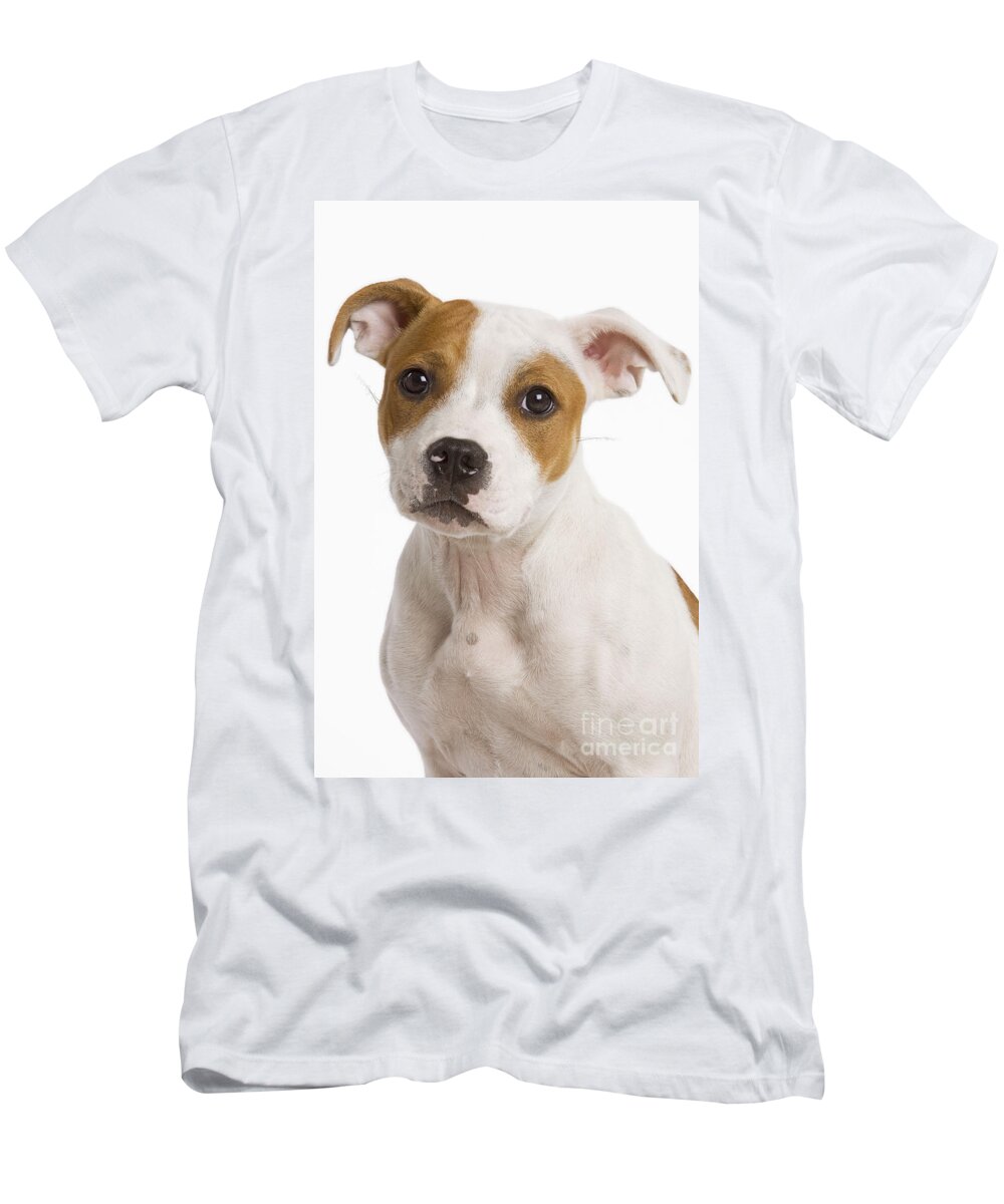 Dog T-Shirt featuring the photograph American Staffordshire Terrier #1 by Jean-Michel Labat