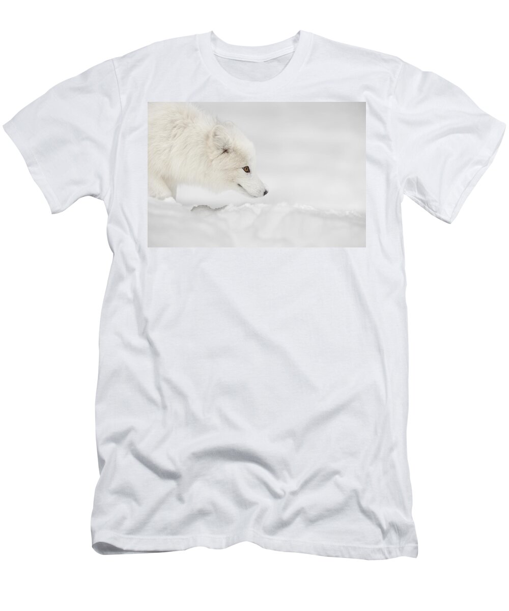 Arctic Circle T-Shirt featuring the photograph Arctic Fox #1 by Andy Astbury