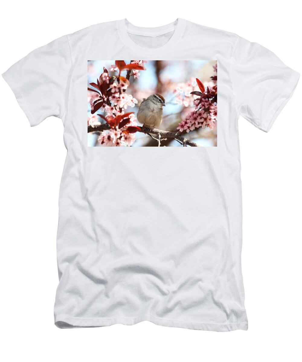 Sparrow T-Shirt featuring the photograph Beautiful Sparrow by Trina Ansel