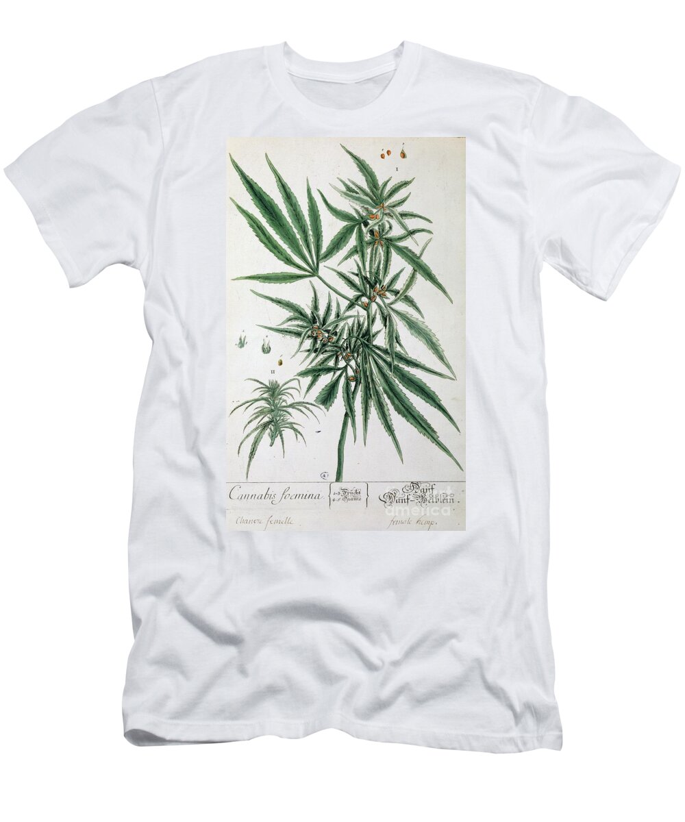 Cannabis T-Shirt featuring the painting Cannabis by Elizabeth Blackwell