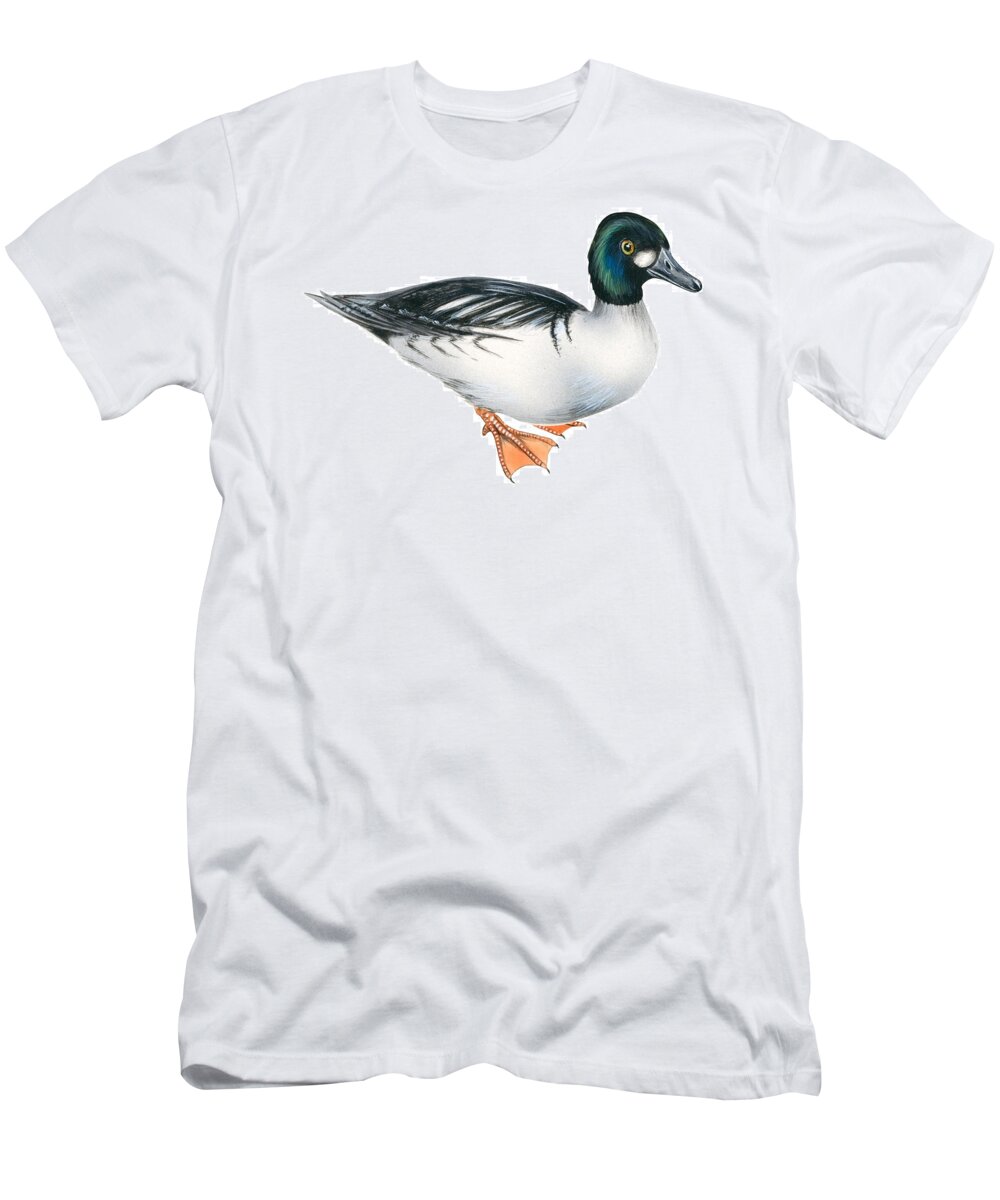 No People; Horizontal; Full Length; White Background; Standing; One Animal; Animal Themes; Illustration And Painting; Common Goldeneye; Bucephala Clangula; Bird; Aquatic T-Shirt featuring the drawing Common goldeneye by Anonymous
