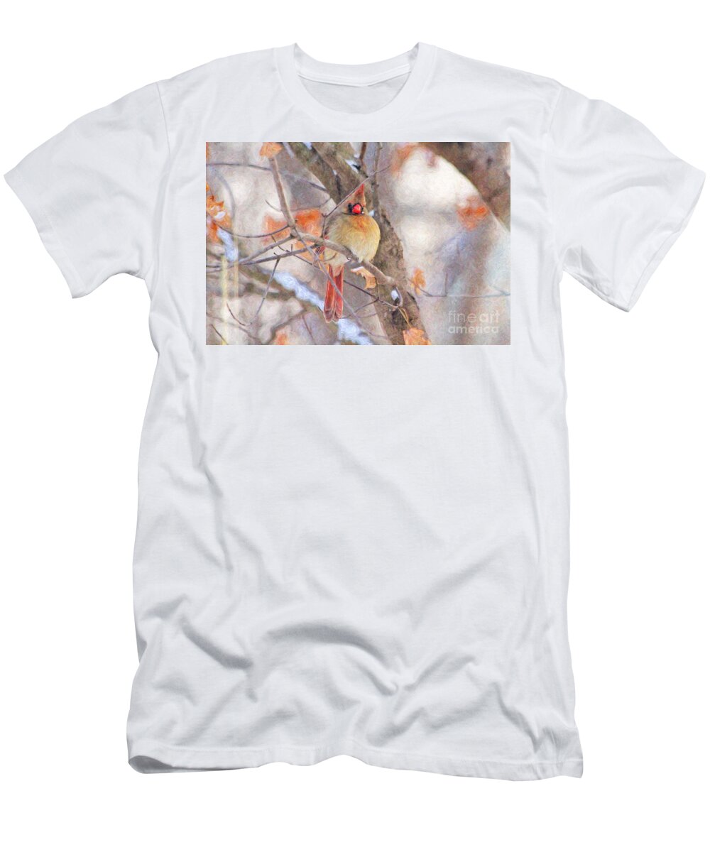 Cardinal T-Shirt featuring the photograph Female Cardinal in Winter #1 by Jack Schultz