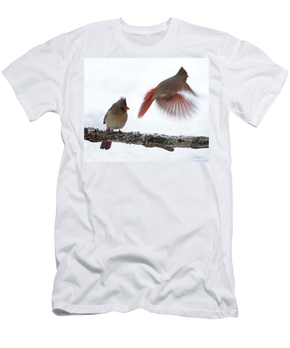 Cardinals T-Shirt featuring the photograph Fly Away #1 by Bill Stephens