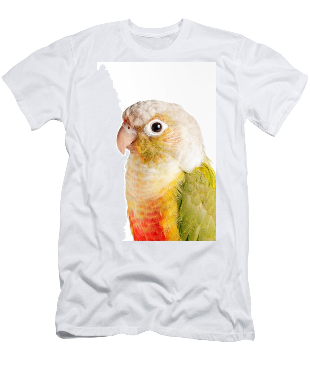Green-cheeked Conure T-Shirt featuring the photograph Green-cheeked Conure Pineapple P #1 by David Kenny
