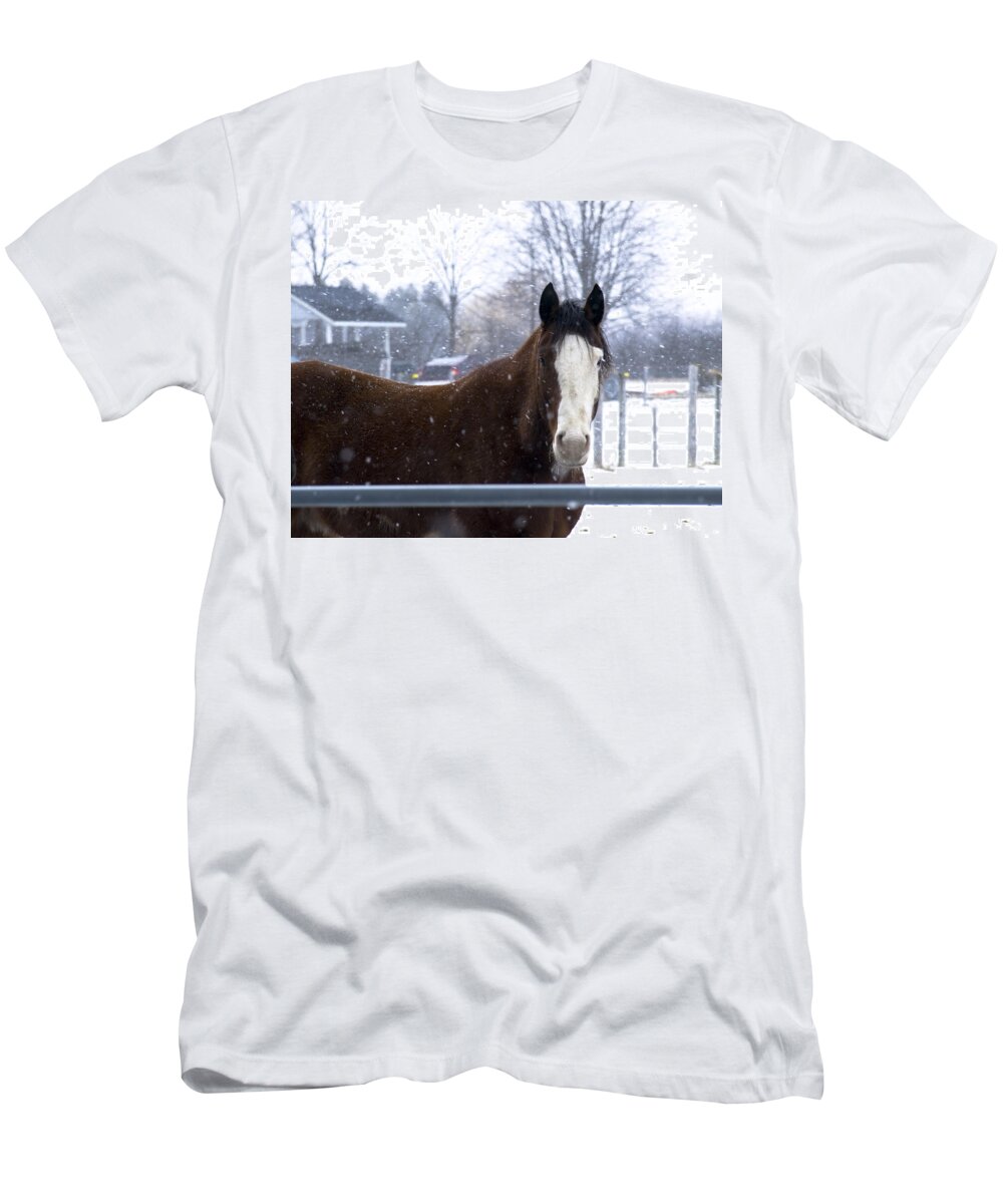 Horse T-Shirt featuring the photograph Portrait of a Horse #1 by Tara Lynn