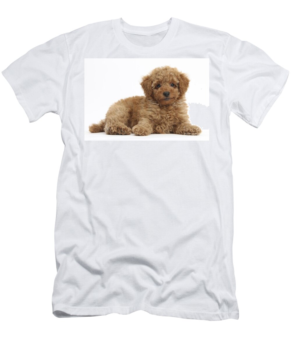 Nature T-Shirt featuring the photograph Red Toy Poodle Puppy #1 by Mark Taylor