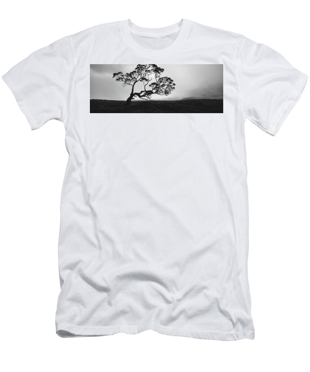 Photography T-Shirt featuring the photograph Silhouette Of A Koa Tree, Mauna Kea #1 by Panoramic Images