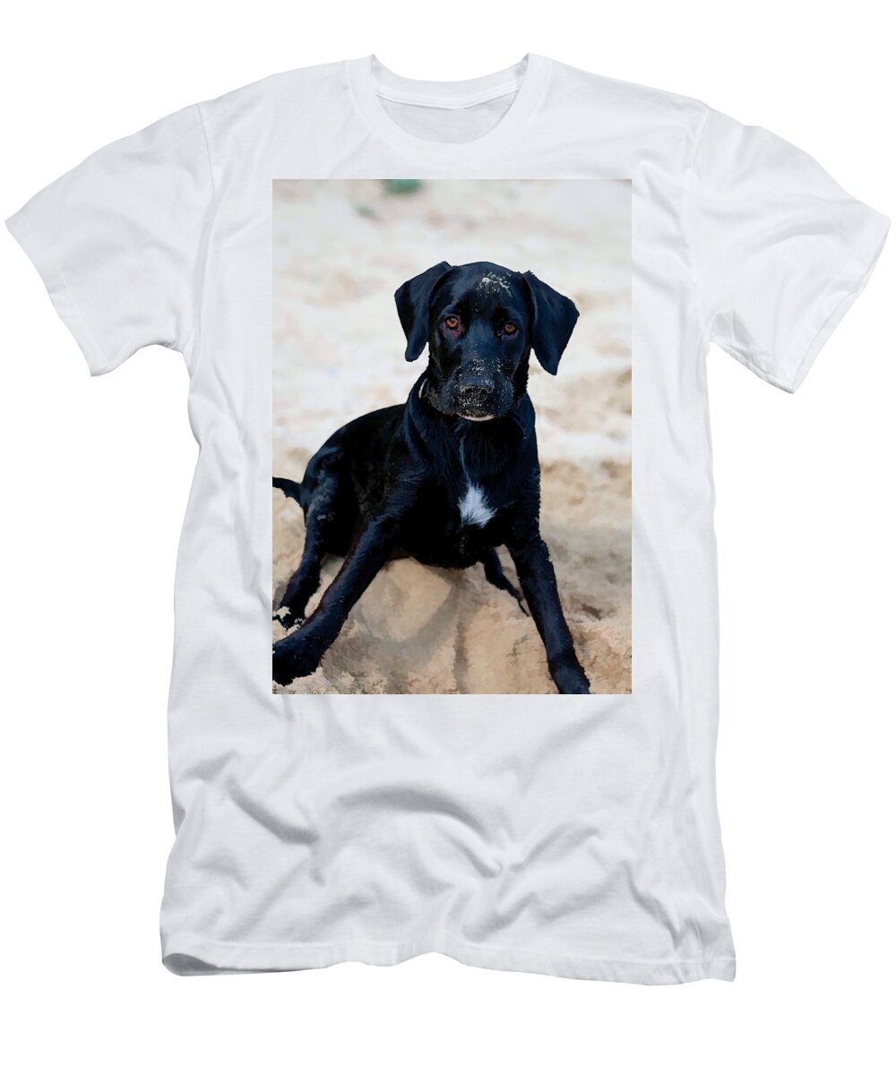 Adorable T-Shirt featuring the digital art Who Me ? by Roy Pedersen
