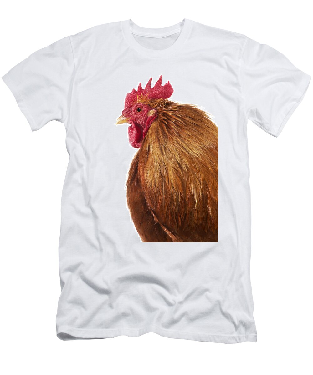 Adult T-Shirt featuring the photograph Coq Brahma #17 by Gerard Lacz