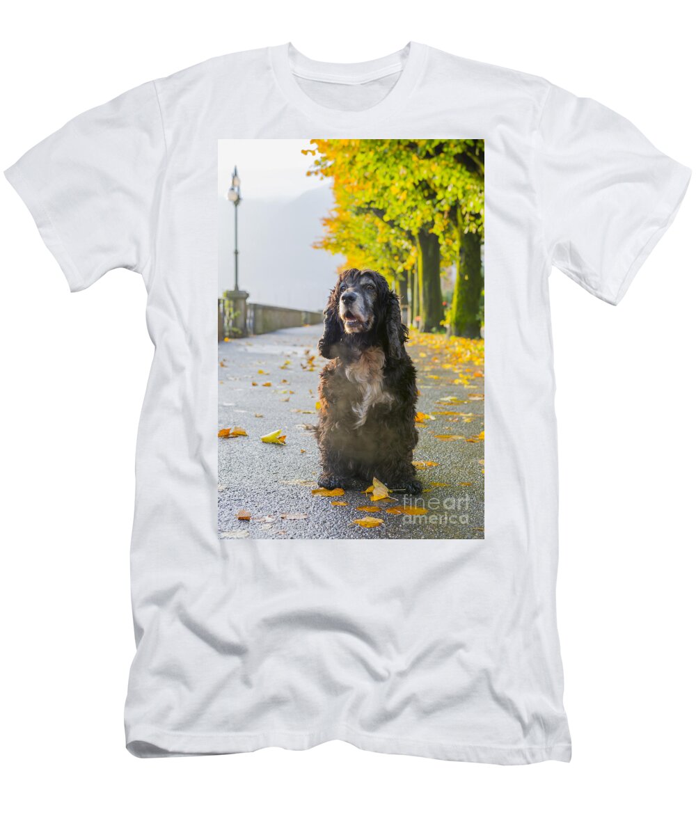 Dog T-Shirt featuring the photograph Dog #19 by Mats Silvan