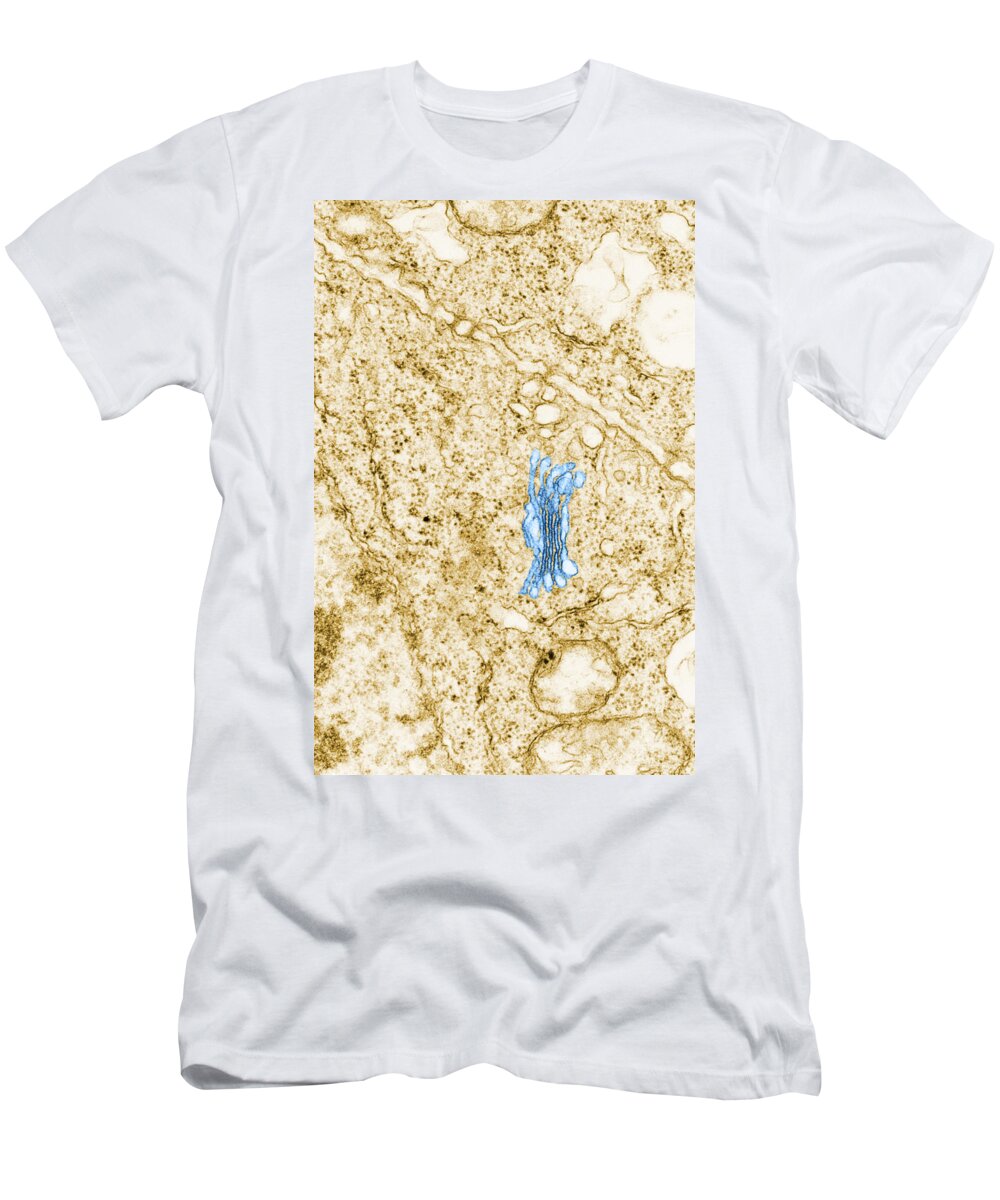 Biological T-Shirt featuring the photograph Golgi Apparatus Tem #2 by Biology Pics