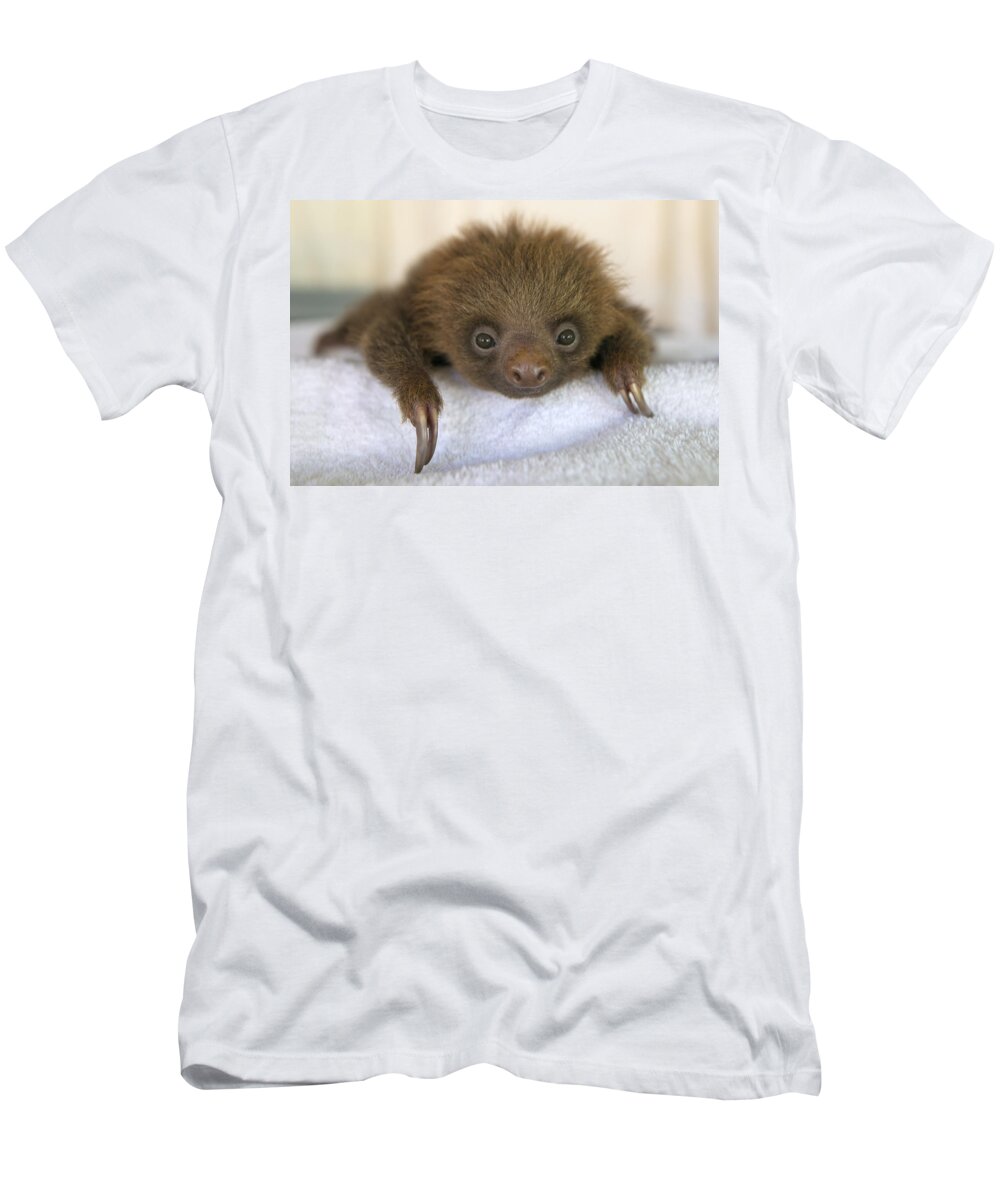 00456396 T-Shirt featuring the photograph Hoffmanns Two-toed Sloth Orphan #2 by Suzi Eszterhas