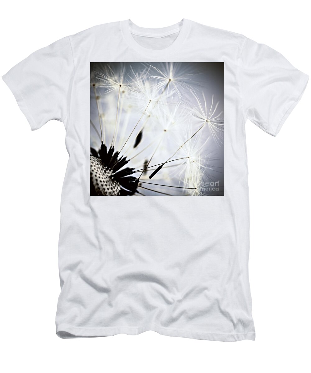 Dandelion T-Shirt featuring the photograph Dandelion 2 by Elena Elisseeva