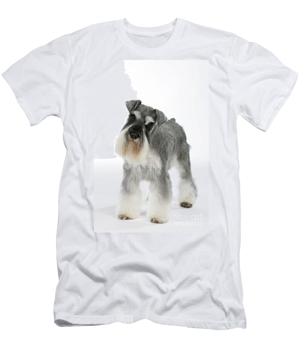Dog T-Shirt featuring the photograph Miniature Schnauzer by John Daniels