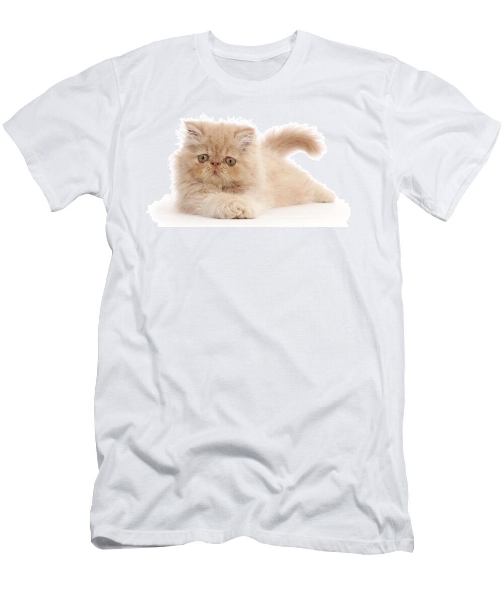 Animals T-Shirt featuring the photograph Persian Kitten #3 by Mark Taylor