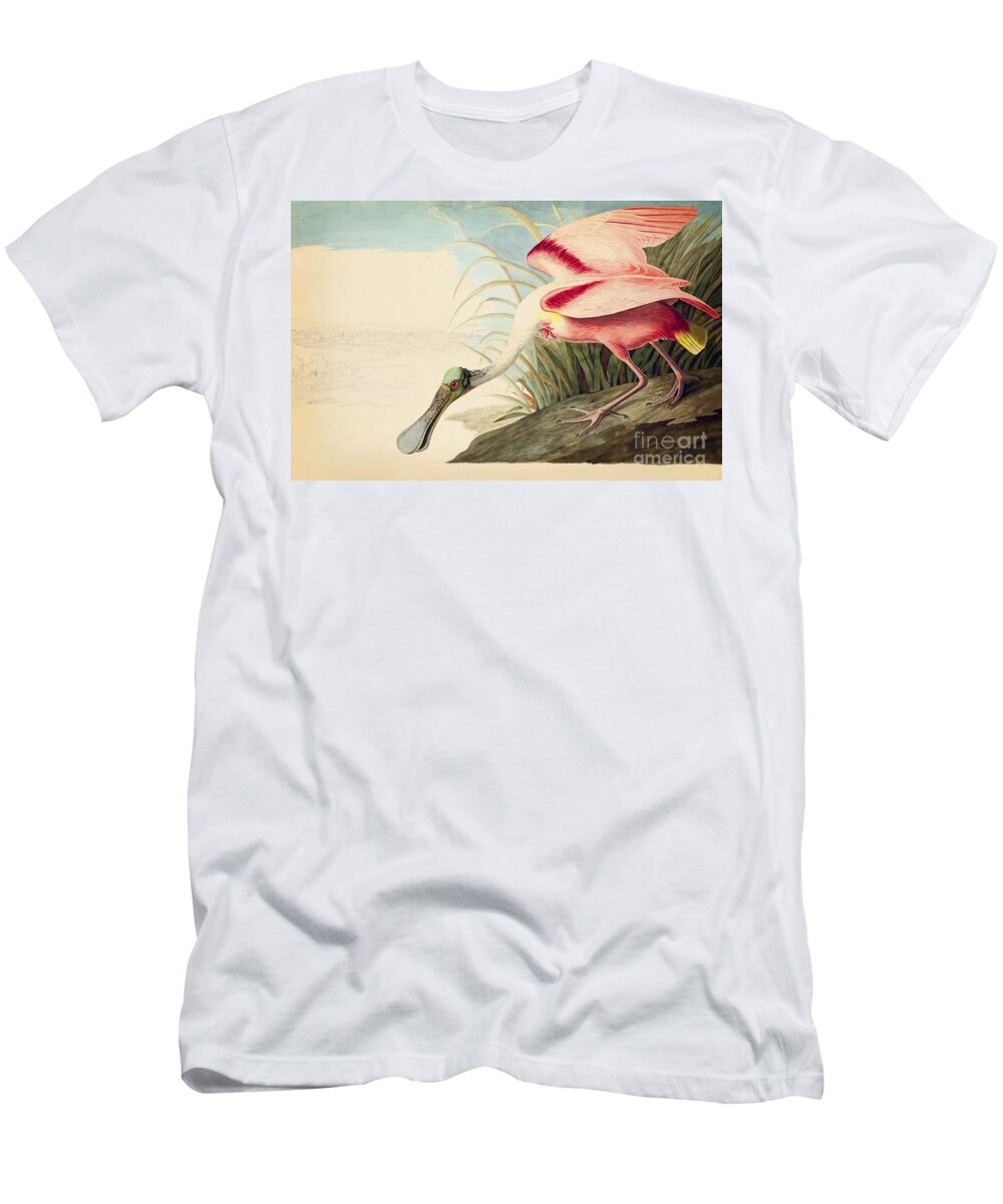Audubon Watercolors T-Shirt featuring the drawing Roseate Spoonbill #3 by Celestial Images