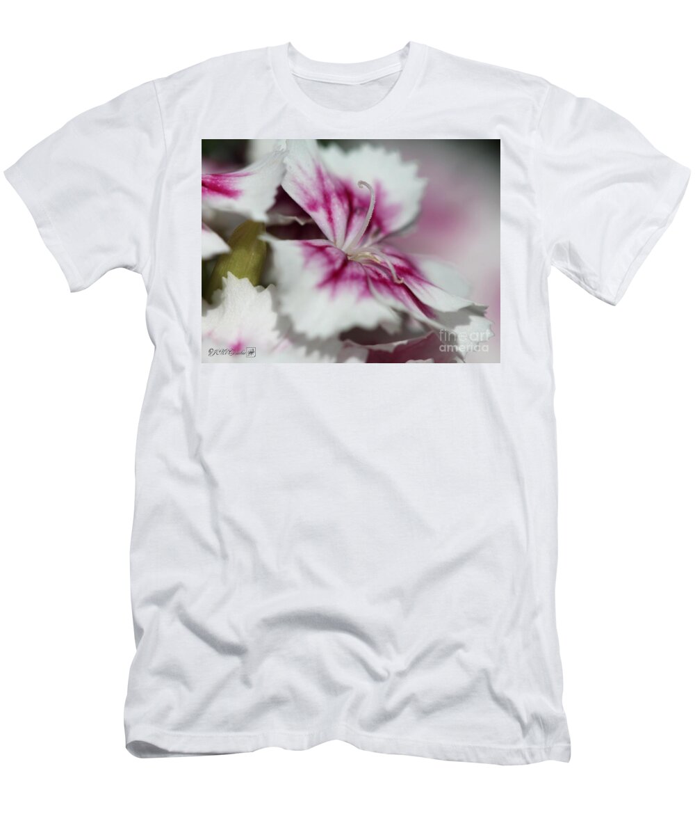 Mccombie T-Shirt featuring the photograph Sweet William from the Super Duplex Bluepoint Mix #39 by J McCombie