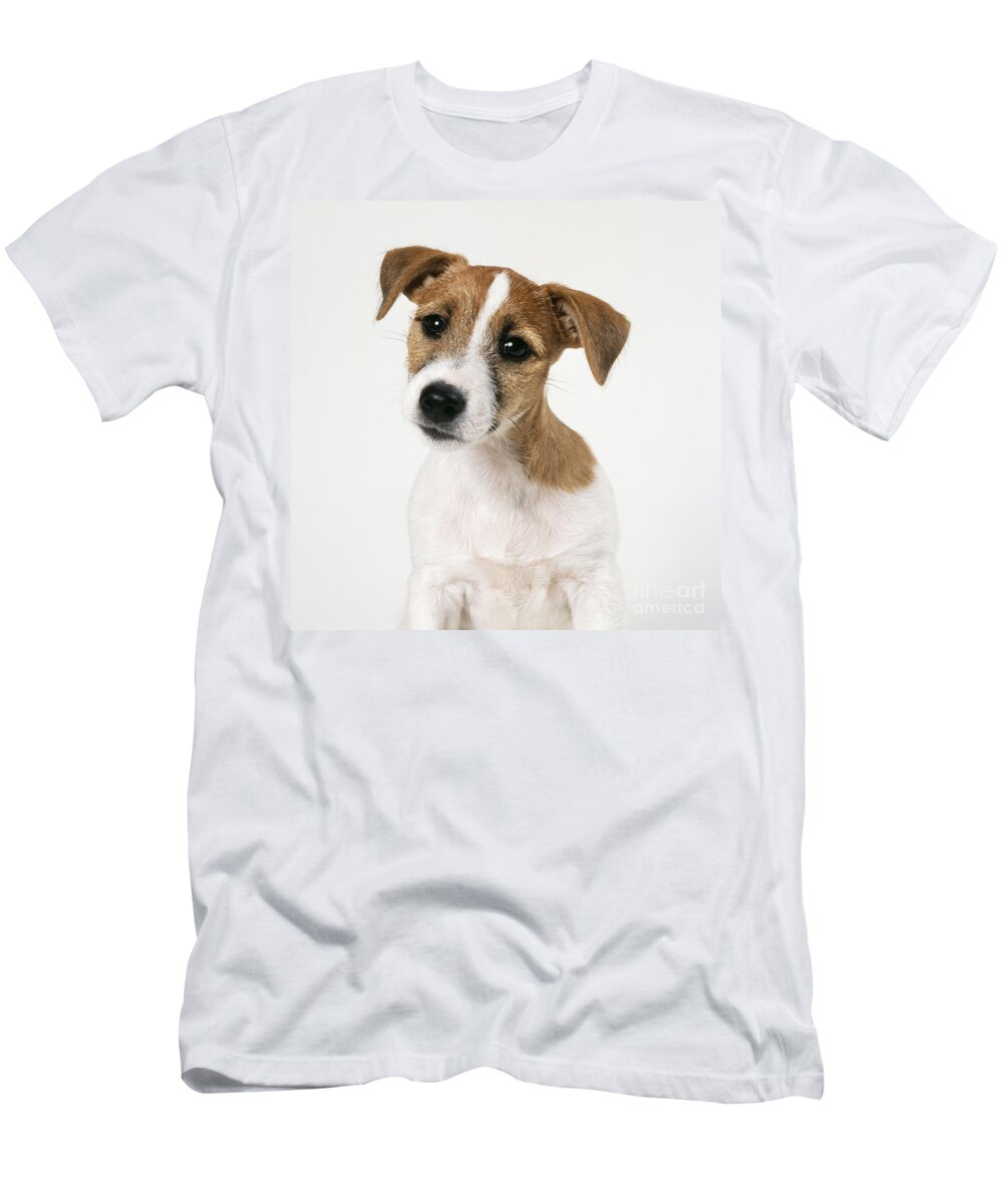 Jack Russell Terrier T-Shirt by Daniels Fine America