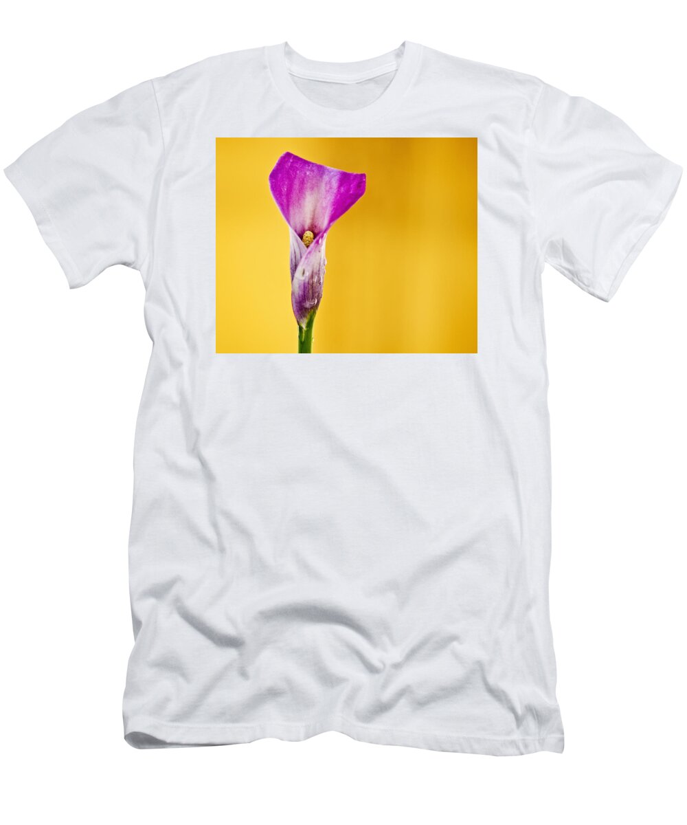 Calla T-Shirt featuring the photograph Calla lily #7 by Paulo Goncalves