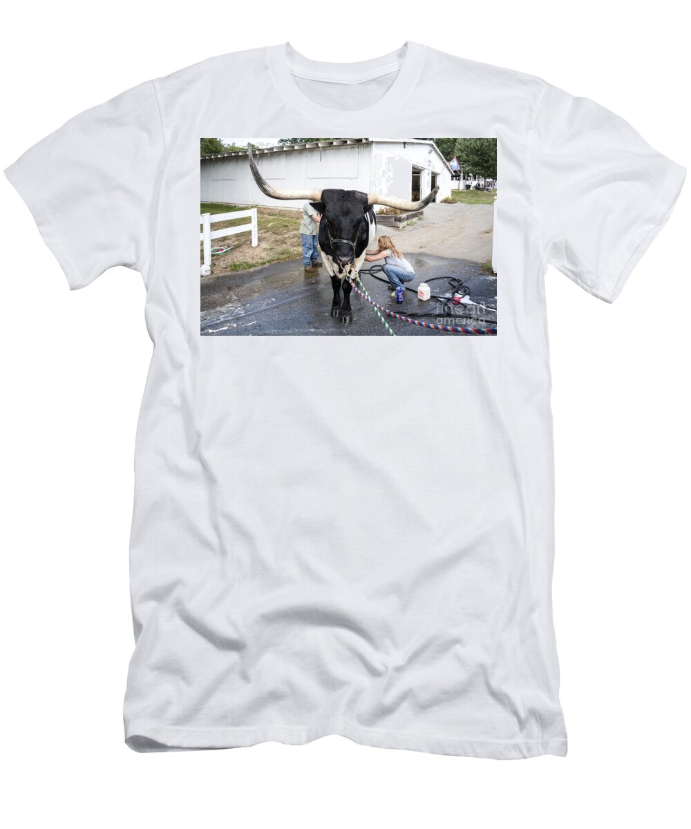County Fair T-Shirt featuring the photograph A longhorn steer is prepared for exhibition at a county fair by William Kuta