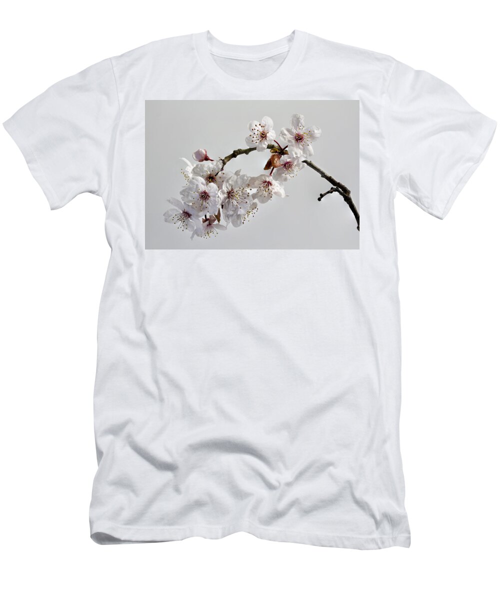 Nature T-Shirt featuring the photograph A Touch of Spring by Shirley Mitchell
