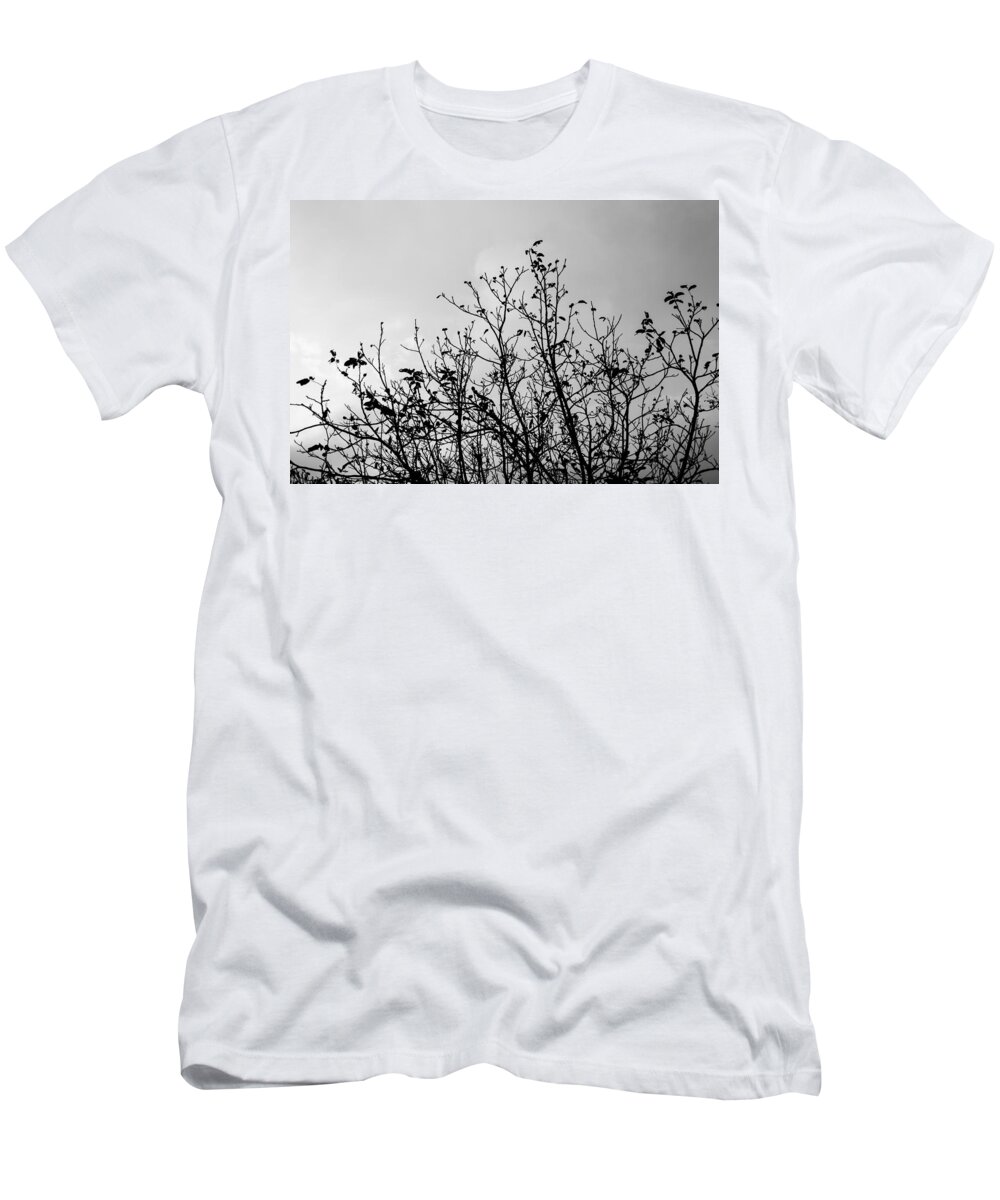 When The Lights Are Down T-Shirt featuring the photograph After the fall by AM FineArtPrints