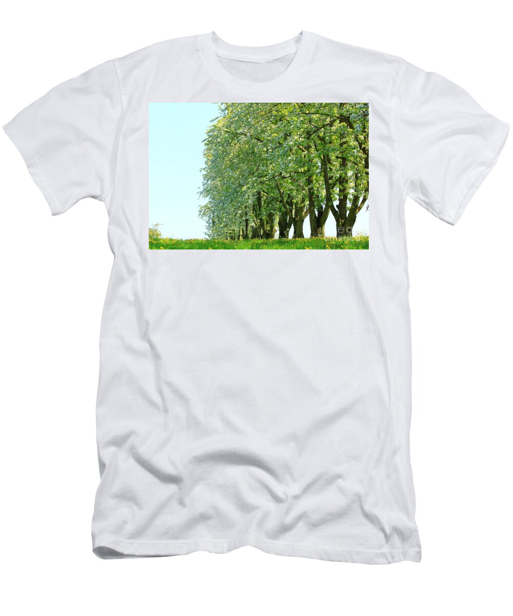 Autumn T-Shirt featuring the photograph Alley of Trees by Amanda Mohler