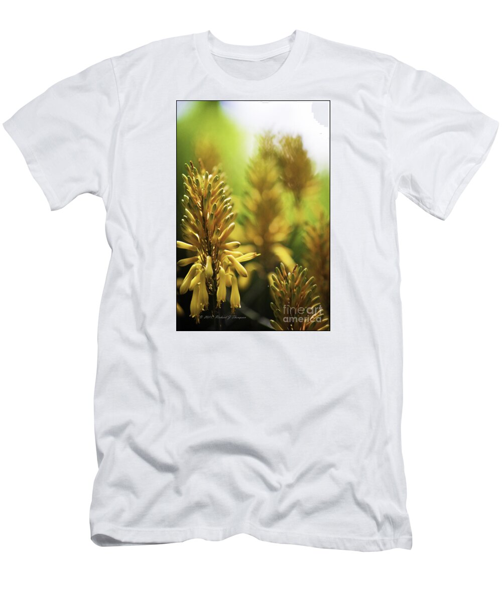 Aloe T-Shirt featuring the photograph Aloe 'kujo' Plant by Richard J Thompson 