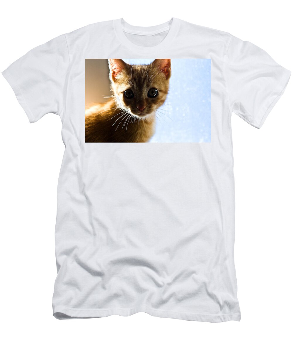 Cat T-Shirt featuring the photograph Amazed by Jorge Maia