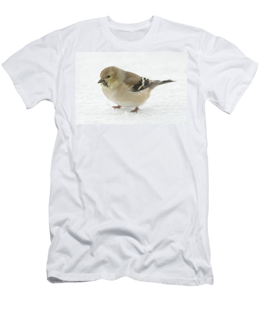 Jan Holden T-Shirt featuring the photograph American Goldfinch in the Snow by Holden The Moment