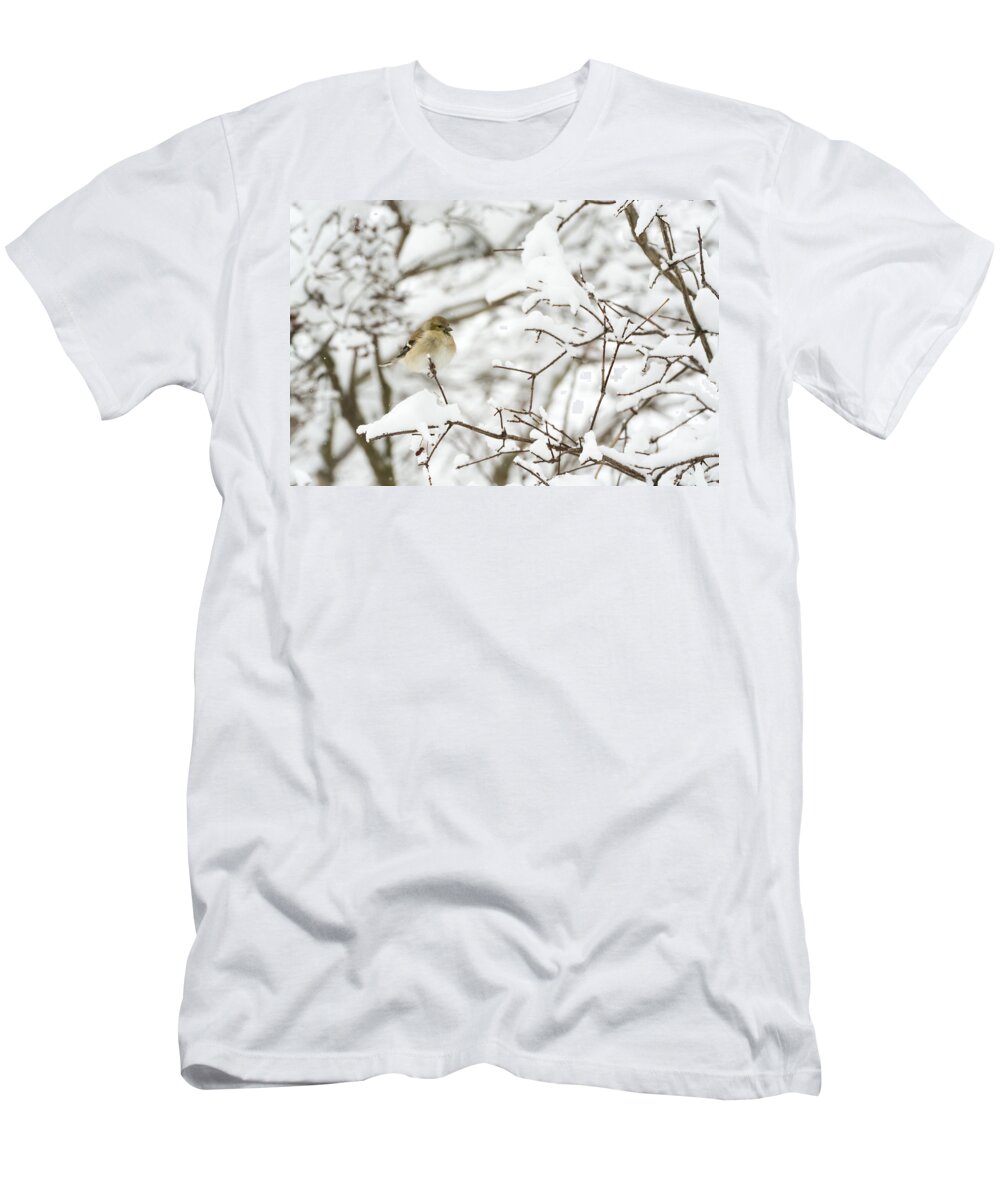 Jan Holden T-Shirt featuring the photograph American Goldfinch by Holden The Moment