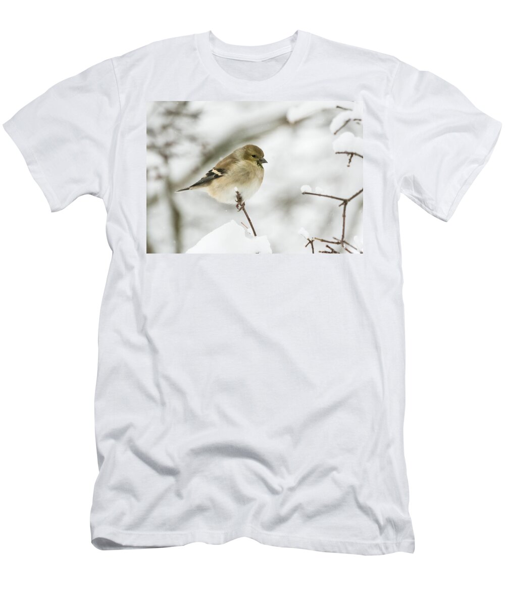 Jan Holden T-Shirt featuring the photograph American Goldfinch Up Close by Holden The Moment