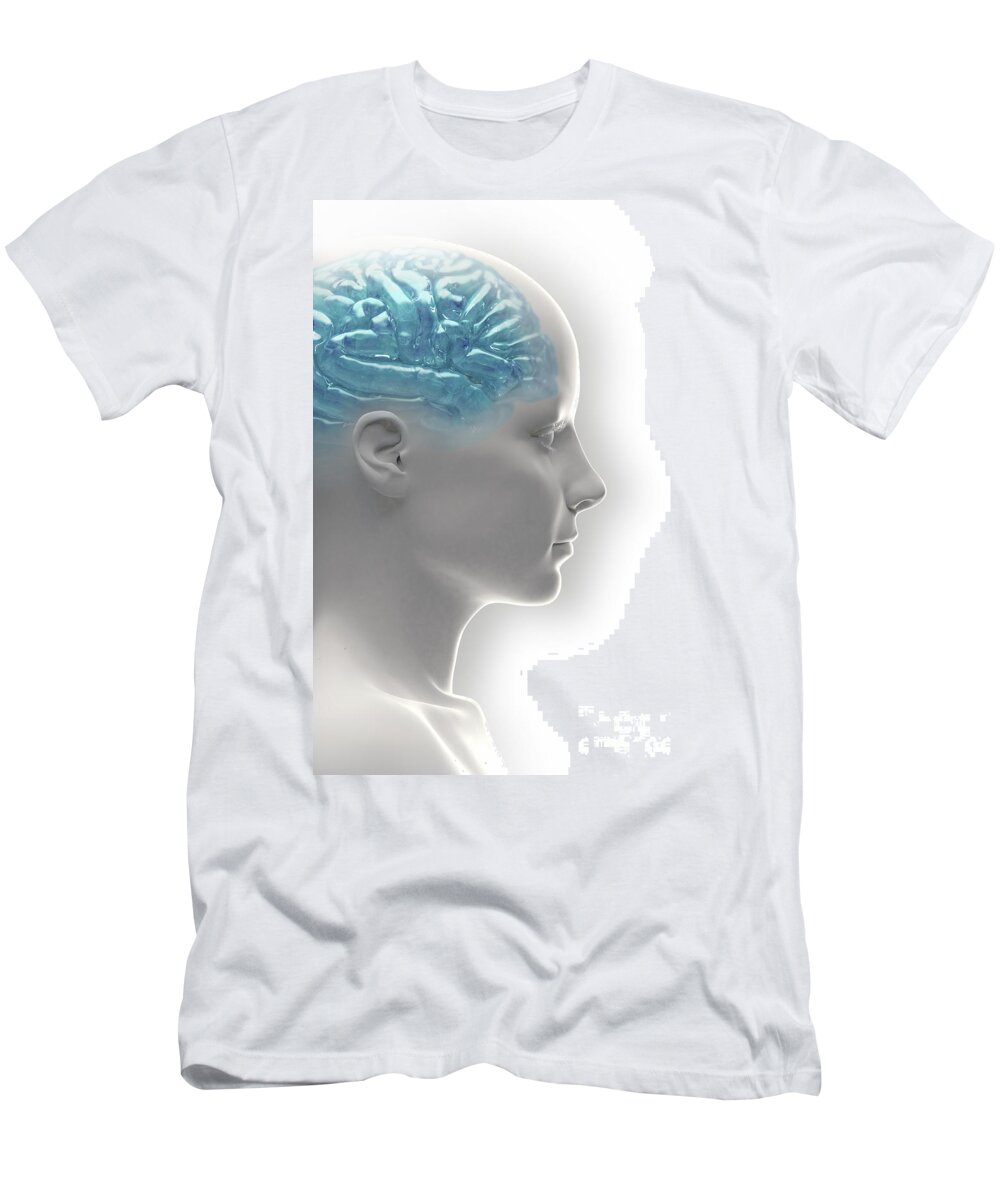 Insula T-Shirt featuring the photograph Android Brain Female by Science Picture Co