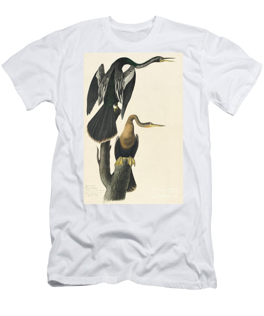 Audubon Watercolors T-Shirt featuring the drawing Anhinga by Celestial Images