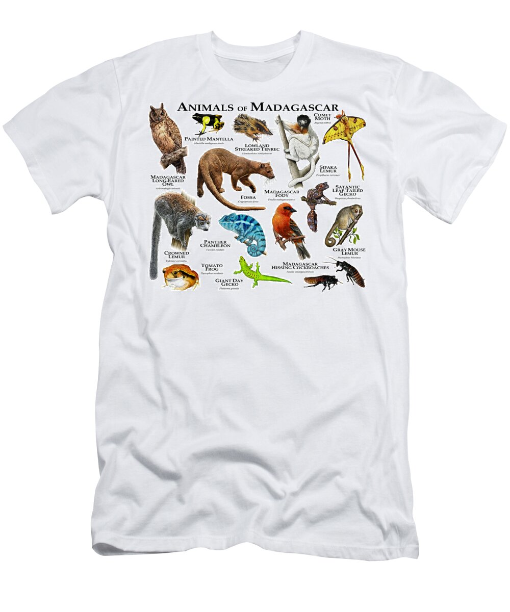 Of Madagascar T-Shirt by Roger Hall Art America