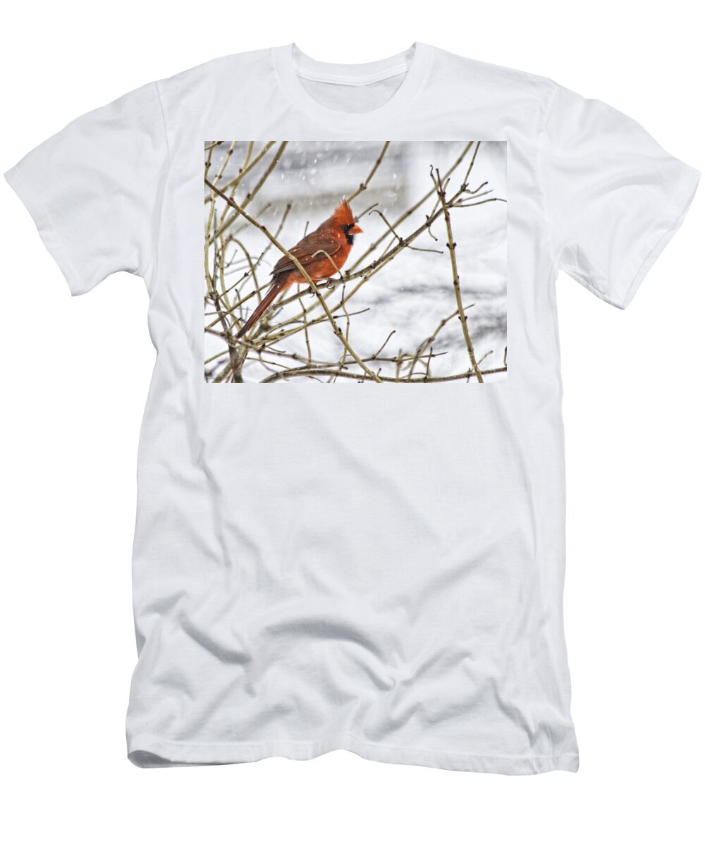 Cardinal T-Shirt featuring the photograph Another Snowy Day by Jan Killian