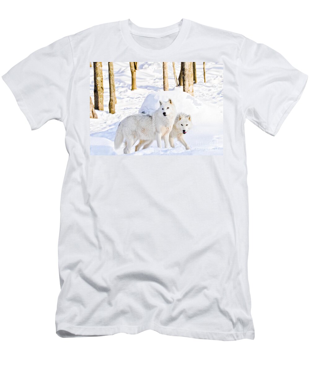Arctic Wolves T-Shirt featuring the photograph Arctic Wolves by Cheryl Baxter