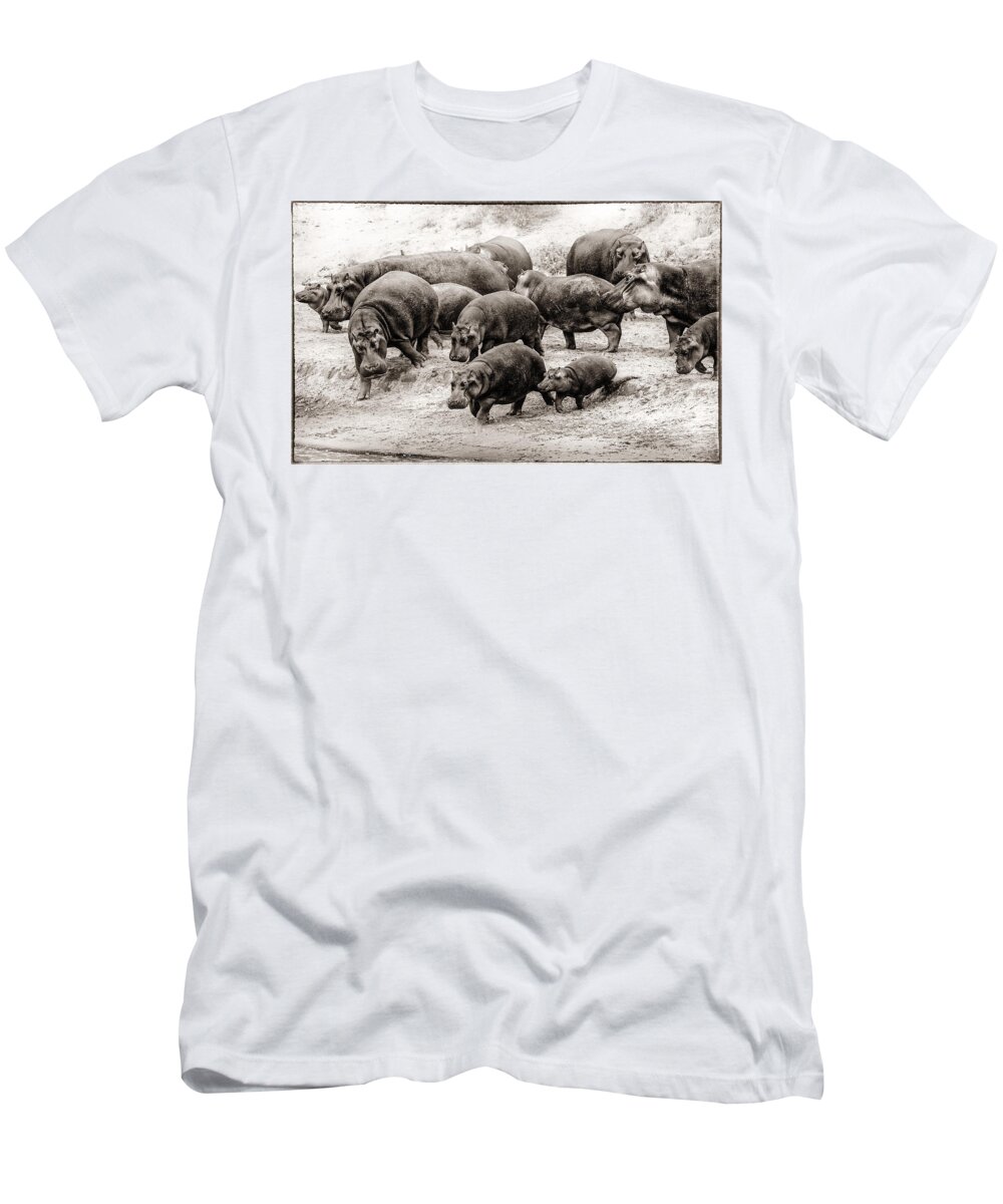 Africa T-Shirt featuring the photograph Aware Hippos by Mike Gaudaur