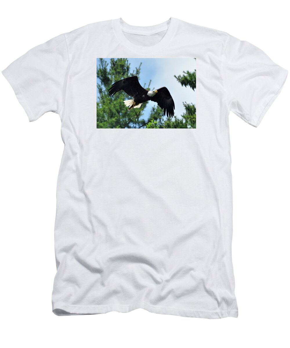 Bald Eagle T-Shirt featuring the photograph Bald Eagle Feeding 2 by Glenn Gordon