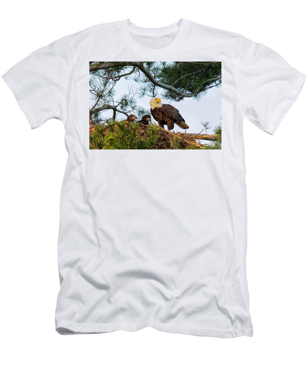 Bald Eagle T-Shirt featuring the photograph Bald Eagle with Eaglets by Everet Regal