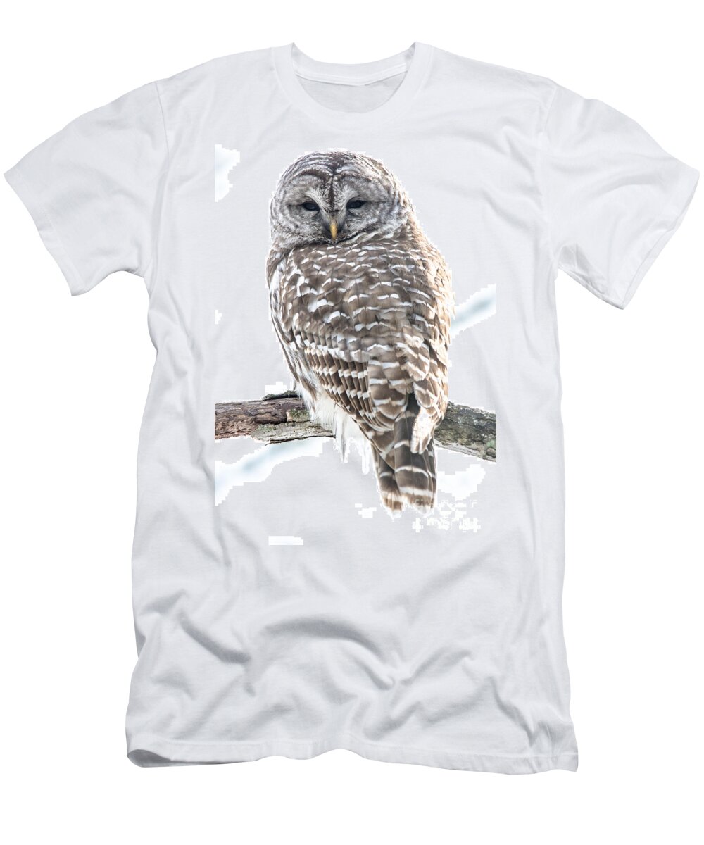 Nature T-Shirt featuring the photograph Barred Owl2 by Cheryl Baxter