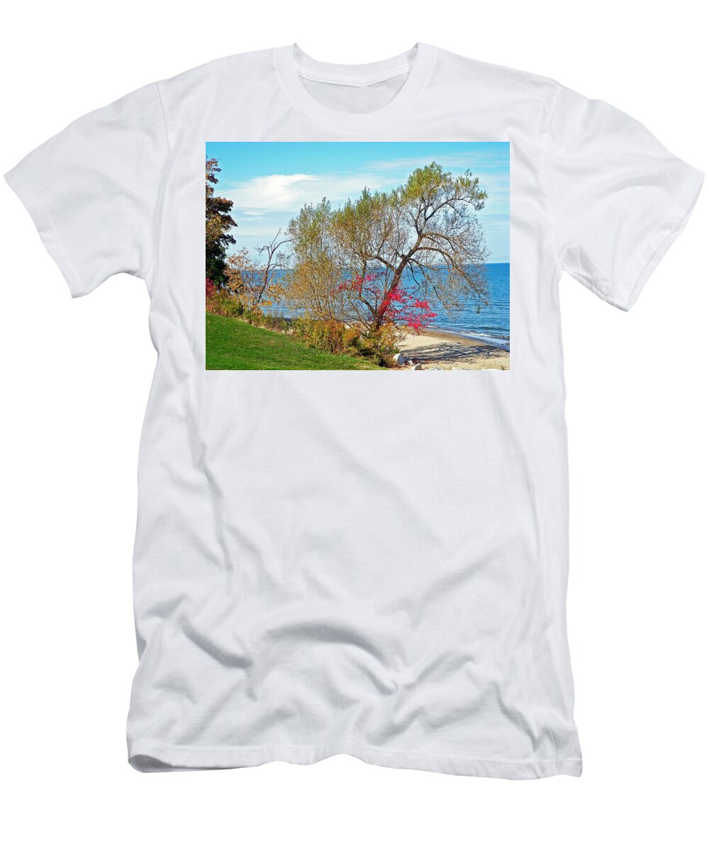 Beach T-Shirt featuring the photograph Beach Tree by Aimee L Maher ALM GALLERY